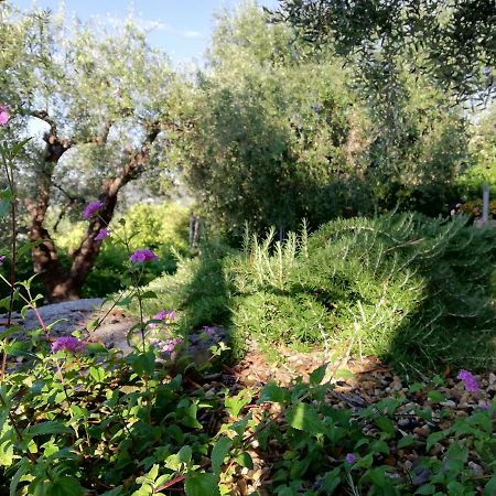 Sugli Allori Ντιάνο Μαρίνα Εξωτερικό φωτογραφία
