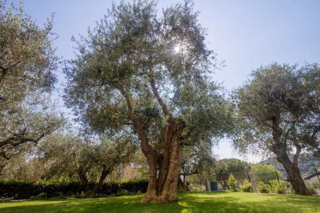 Sugli Allori Ντιάνο Μαρίνα Εξωτερικό φωτογραφία